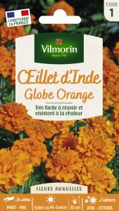 Œillet d'Inde Globe Orange